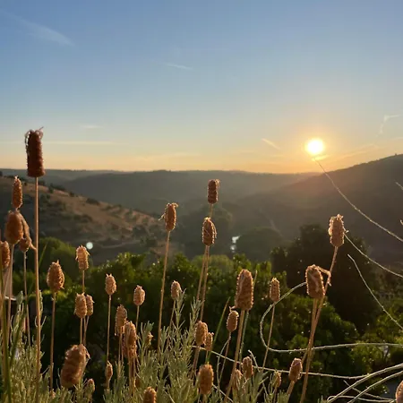 Sweet *