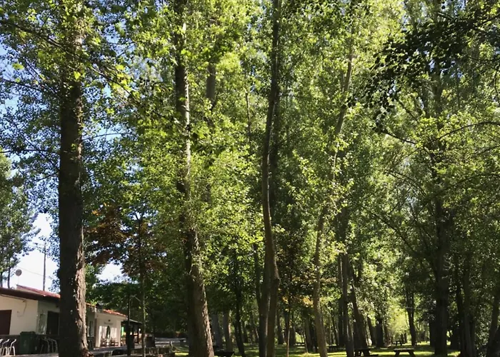 Apartamento Sweet Quintanilha